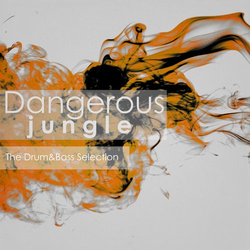 Dangerous Jungle: The Drum&Bass Selection (2015)
