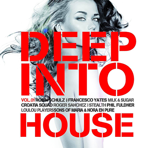 Deep Into House Vol 1 (2015)