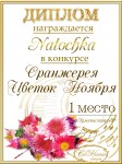 Поздравляем с Днем Рождения Наталью (Natochka) Faed226e936eb9958aca21fd5d33047c