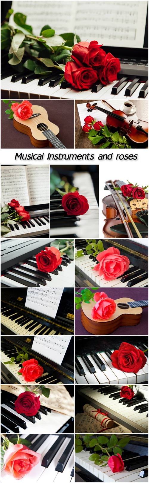 Musical instruments and roses, guitar, violin, piano