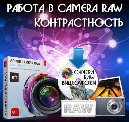  Работа в Camera Raw - Контрастность (2016) 