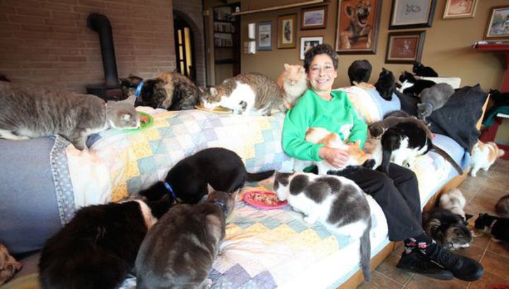Тысяча кошек выселила американку из дома