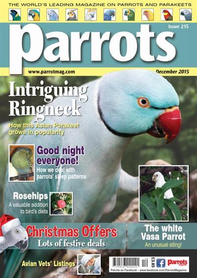 Parrots - December 2015