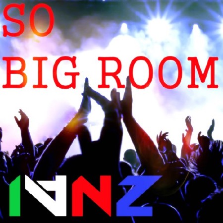 IVNZ - SO BIG ROOM (2016)