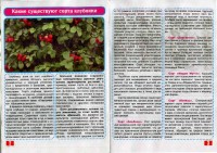  1001 совет и секрет. Спецвыпуск №2 (январь 2016). 101 совет о выращивании садовой земляники   