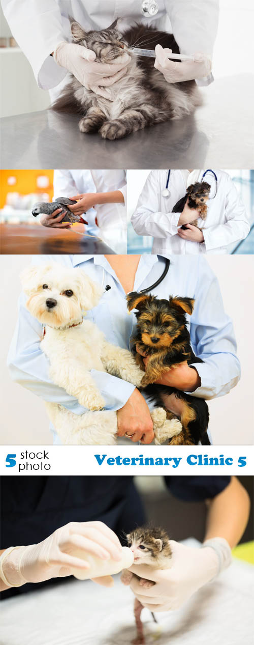Photos - Veterinary Clinic 5