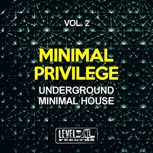 VA - Minimal Privilege Vol.2: Underground Minimal House (2016)