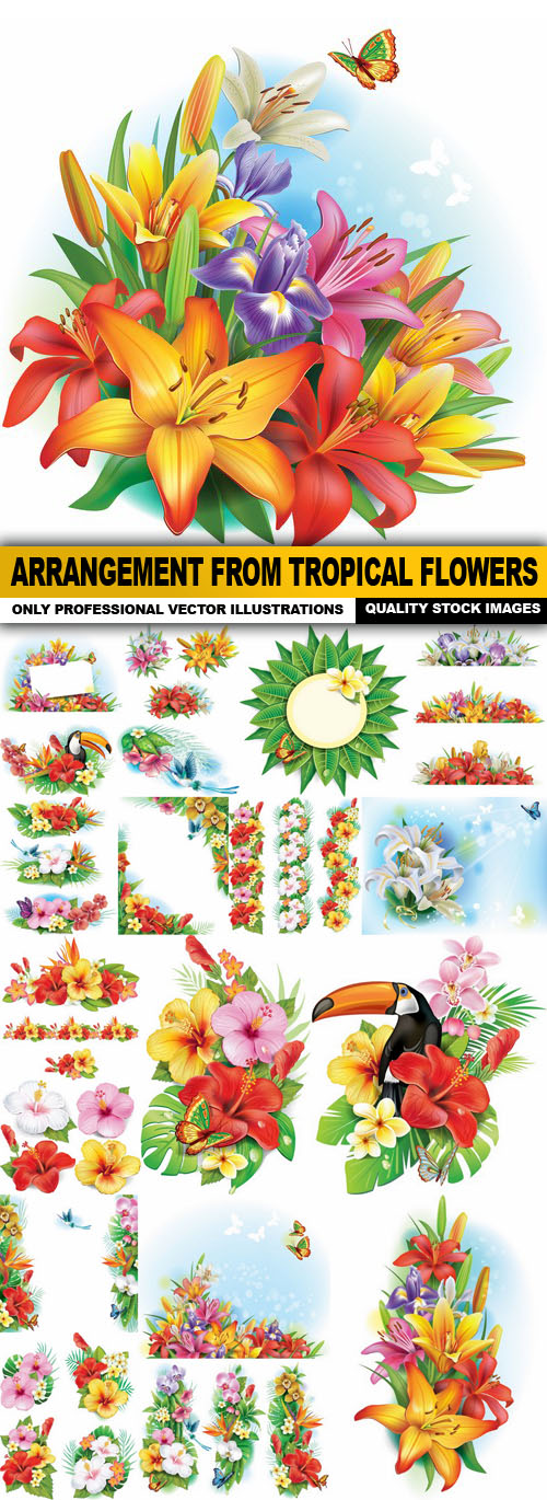 Arrangement From Tropical Flowers - 20 Vector