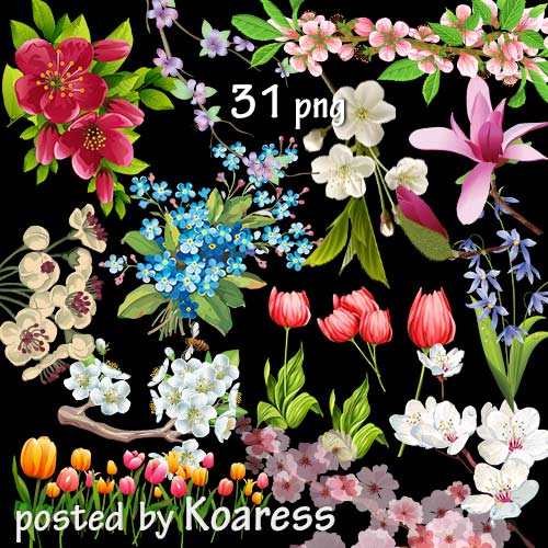 Подборка рисованных весенних цветов и цветущих веток на прозрачном фоне