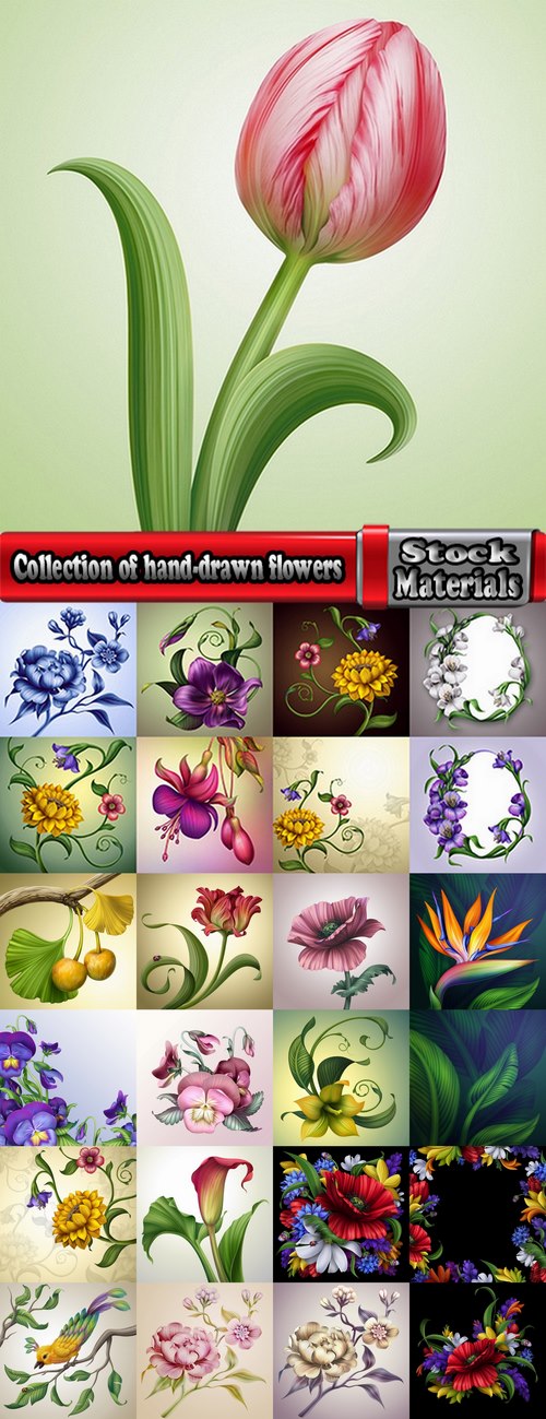 Collection of hand-drawn flowers tulip background is the gift card 25 HQ Jpeg