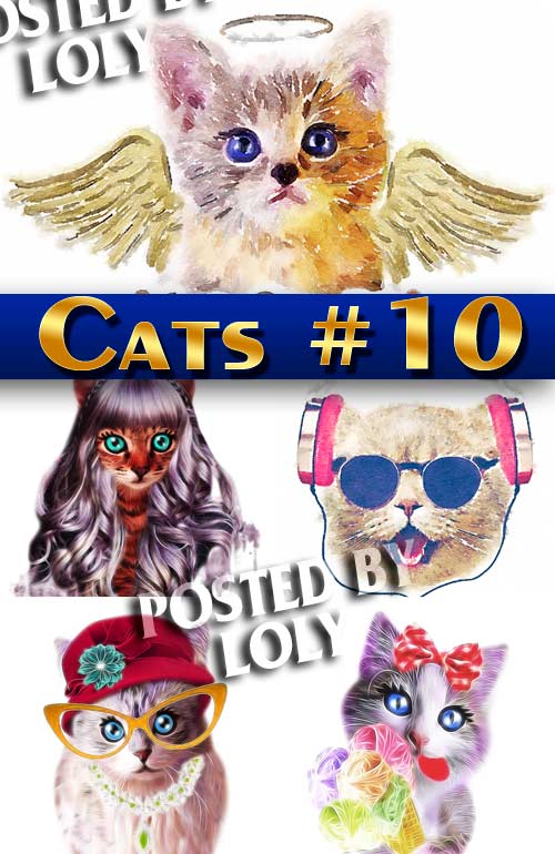 Котики #10- Растровый клипарт