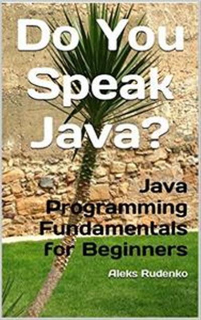 Beginning Java Programming Pdf