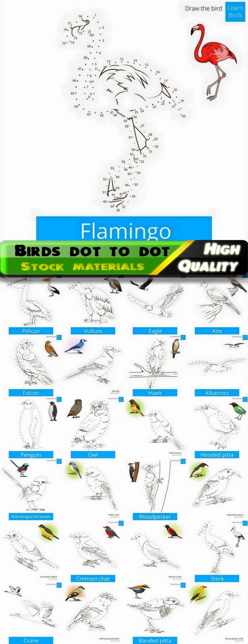 Learn to draw birds dot to dot - 25 Eps