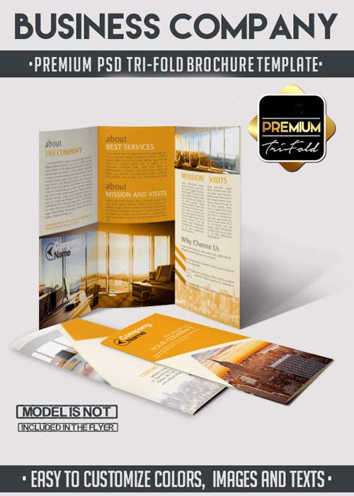 Business Company Tri-Fold Brochure PSD Template