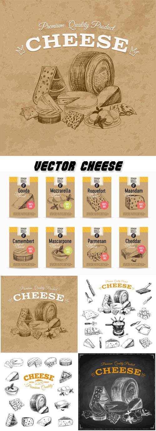 Hand drawn vector illustration with cheese