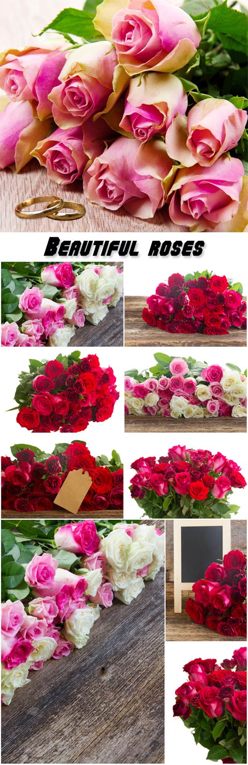 Beautiful roses, flower bouquets
