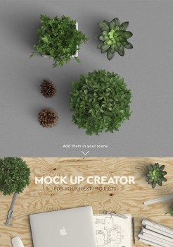 Plant Mock-up - Architect