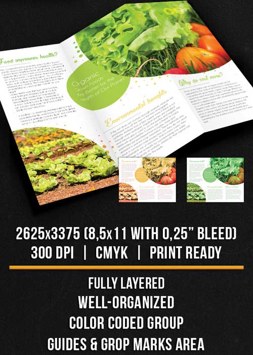 Organic Food Tri-Fold Brochure PSD Template
