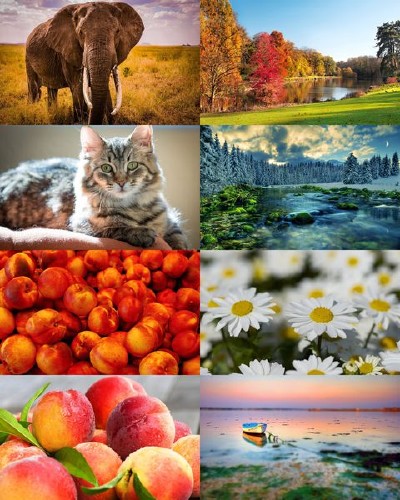 Wallpapers Mix №379