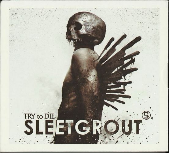 Sleetgrout - Try To Die (2014, Lossless)
