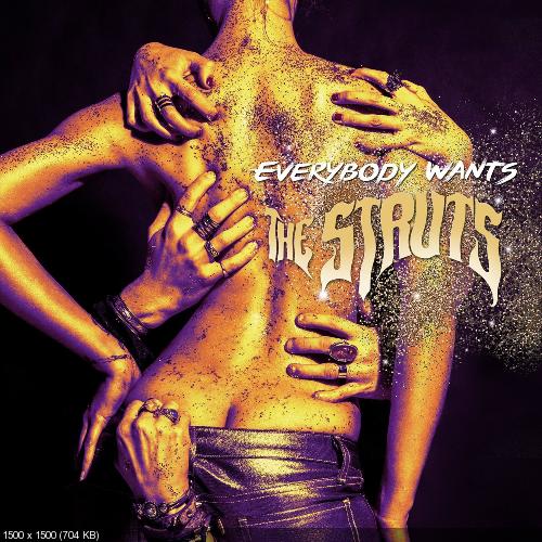The Struts - Everybody Wants (2016)